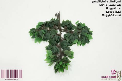 خضار الفيكس اخضر