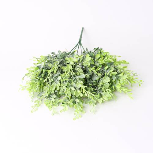 خضار تنسيق ناعم بنش ملون