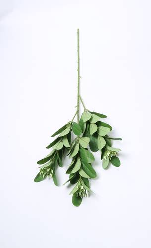 اغصان تنسيق خضار اخضر