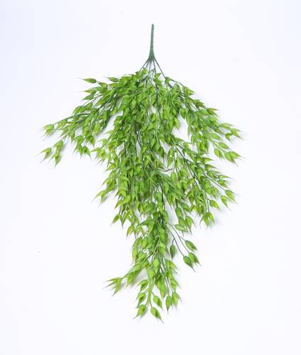 تعليق خضار اخضر