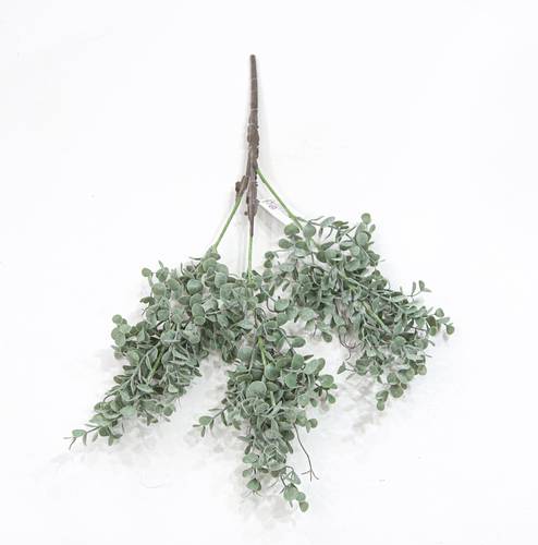 خضار تنسيق طويل