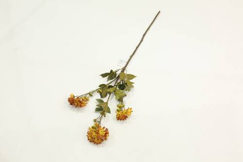 زهرة الاقحوان اصفر محروق