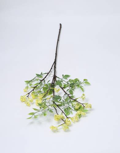 اغصان تنسيقات اصفر