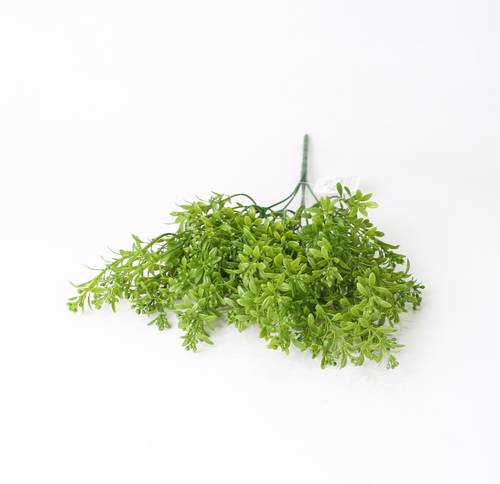 تنسيق خضار اخضر