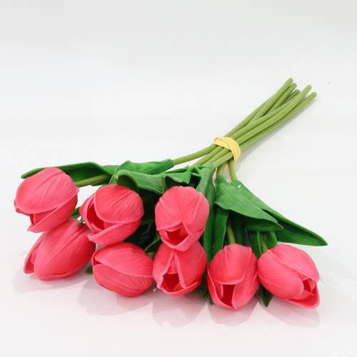 توليب فوشي