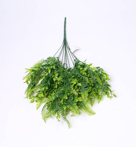 خضار اخضر تنسيق