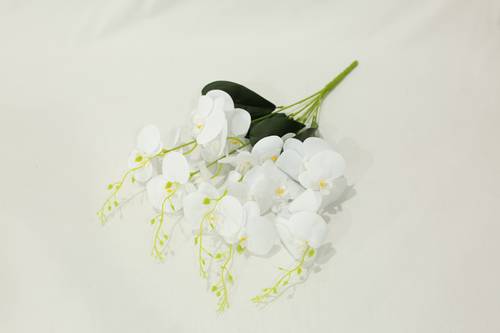 اوركيد بنش صغير ابيض