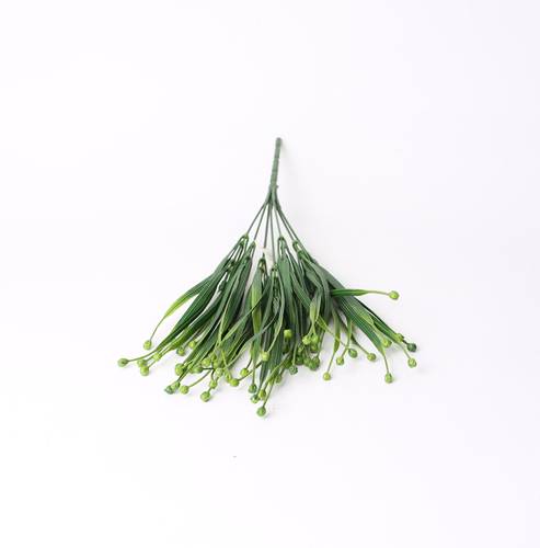 خضار تنسيق اخضر