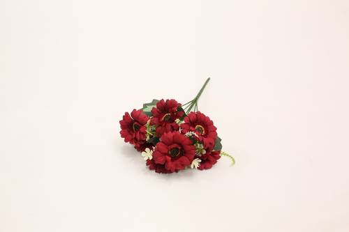 ورد جربارة عنابي