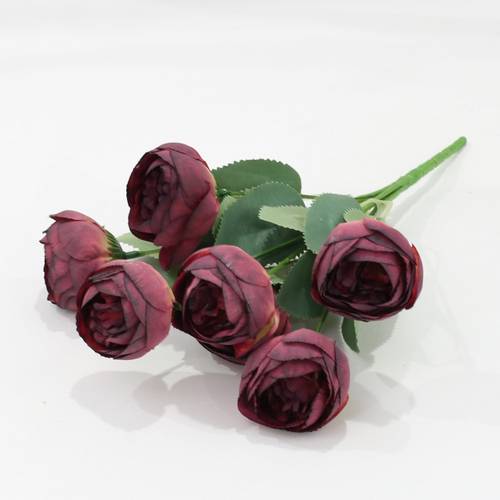 زهرة الفاونيا عنابي