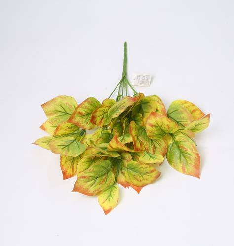 خضار بنش اصفر
