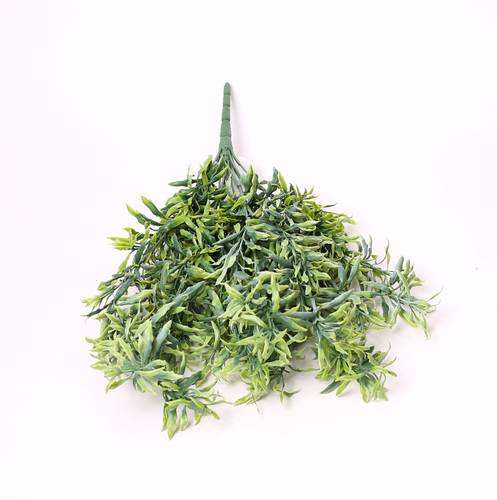 خضار اخضر