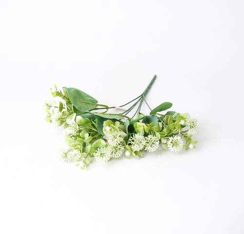 خضار تنسيق ابيض