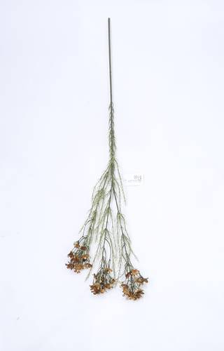 اغصان تنسيق واكس بني