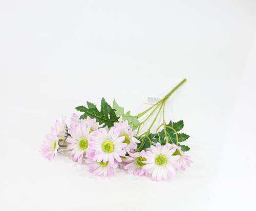 ورد جربارة موف فاتح