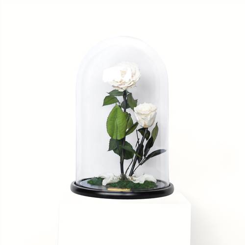 Medium RB Bell Jar
