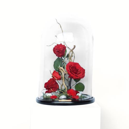 Red Large RB Bell Jar