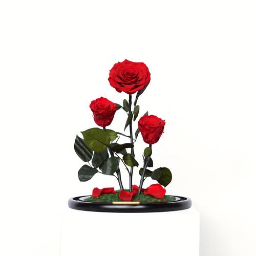 Large RB Bell Jar