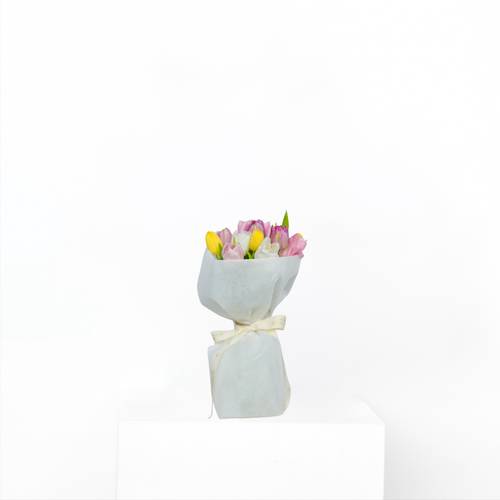 Joyful Tulips