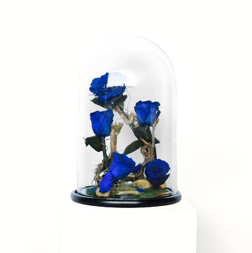 Blue Large RB Bell Jar