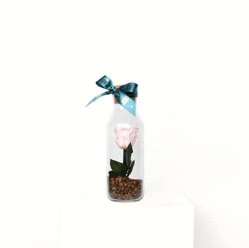 Rose Bottle