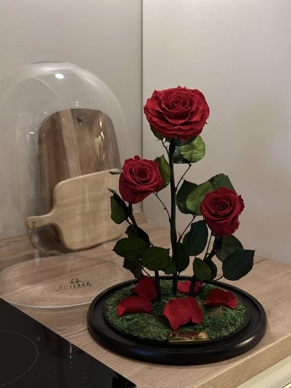 Large RB Bell Jar