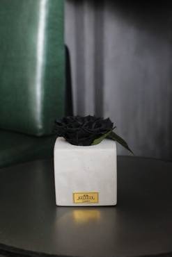 Baby Square Cement Pot