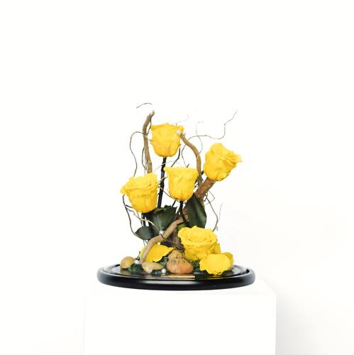 Yellow Large RB Bell Jar