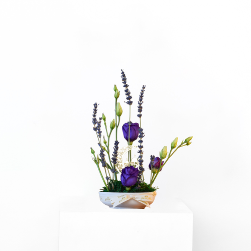 Mini Lavender