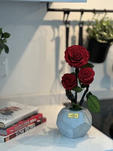 Three Roses Octa Cement Pot