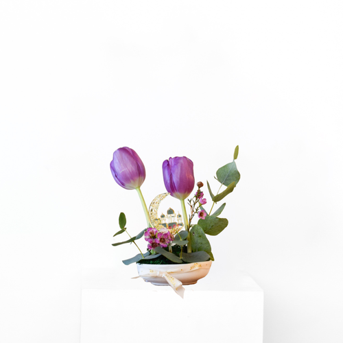 Mini Tulip