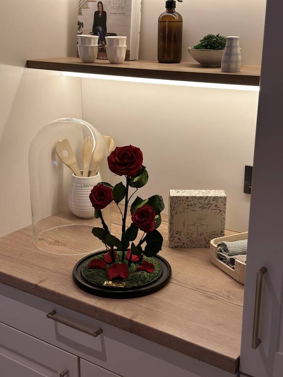 Large RB Bell Jar