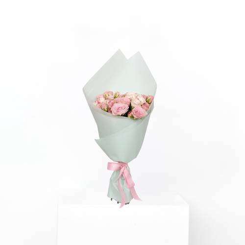  Baby Pink Serenity