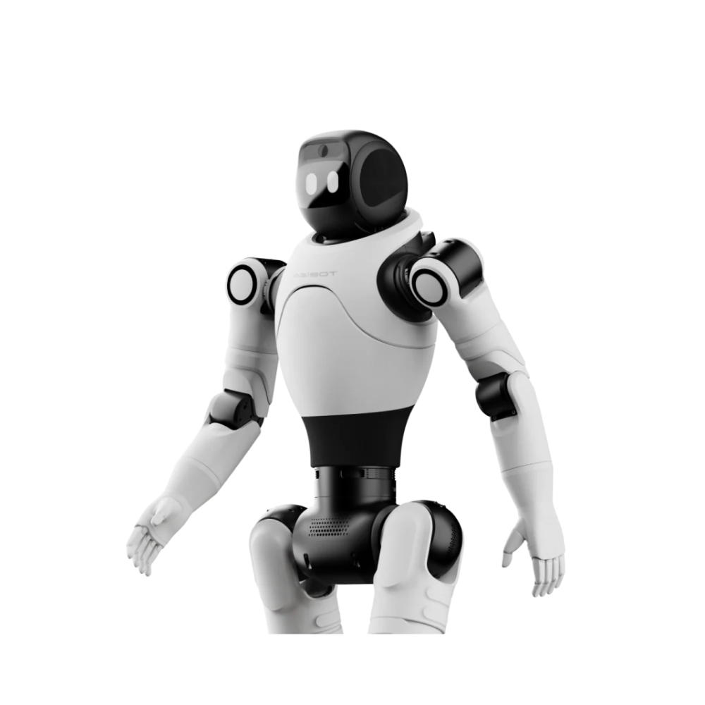 X2 Humanoid Robot