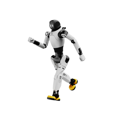 X2 Humanoid Robot