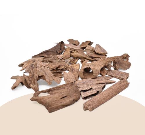 سومطري المجالس العامرة