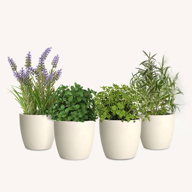 Mix & Match Herb Pots
