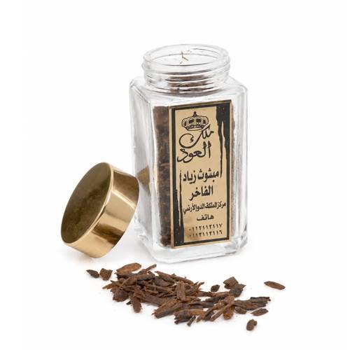مبثوث زياد