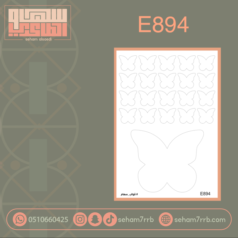 E894
