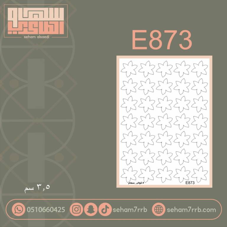E873