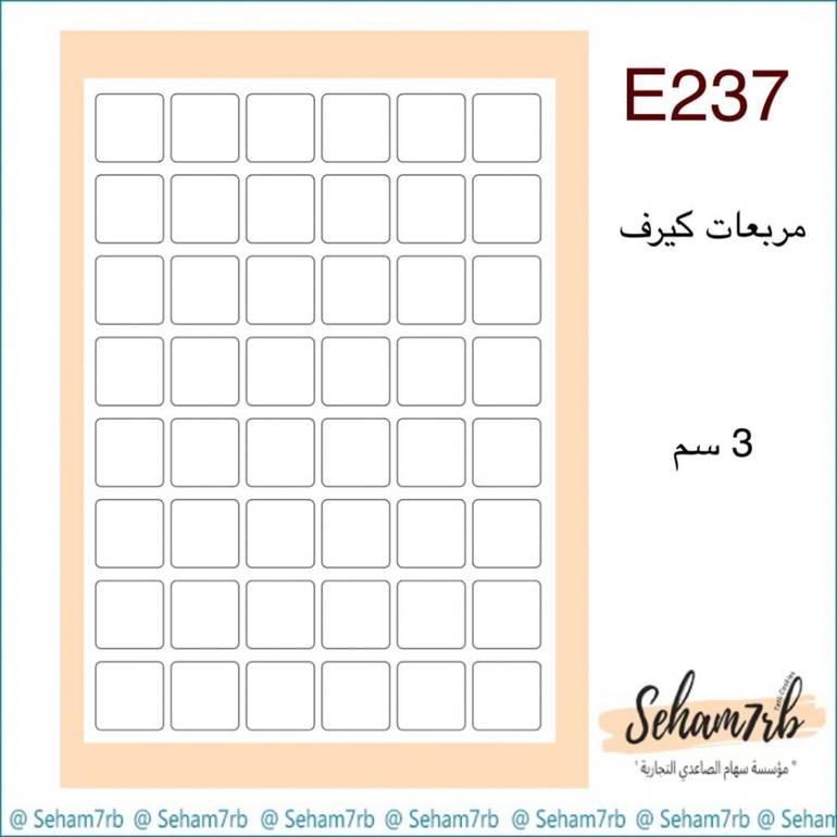 E237