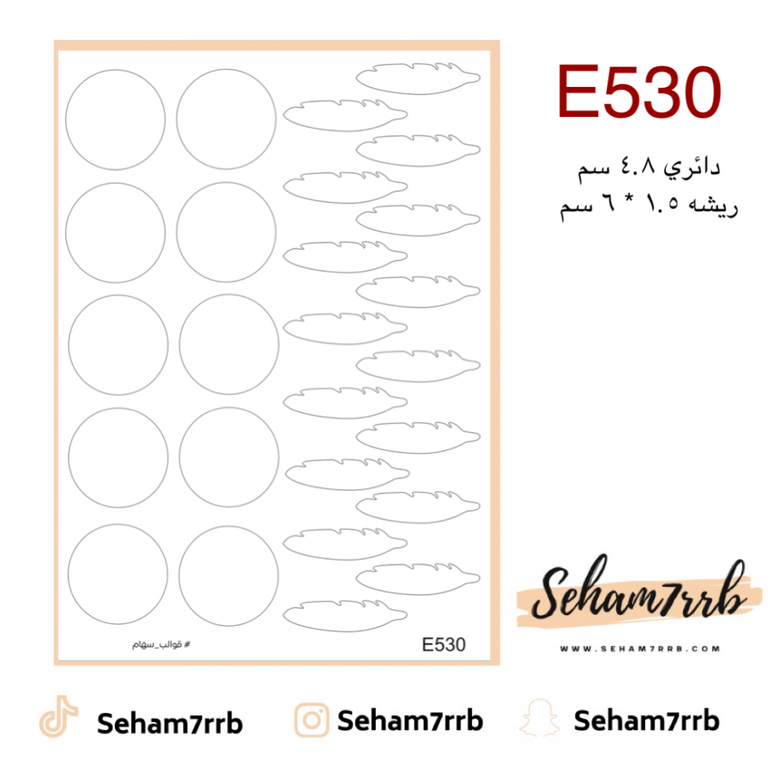 E530