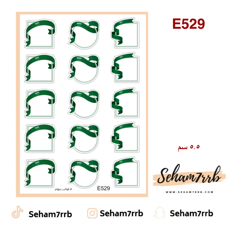 E529