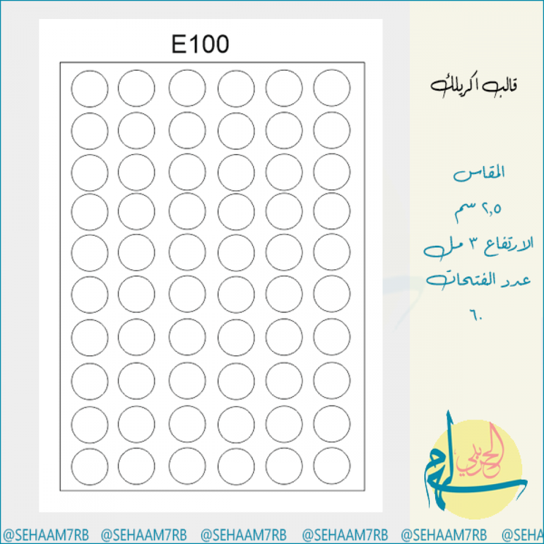 E100