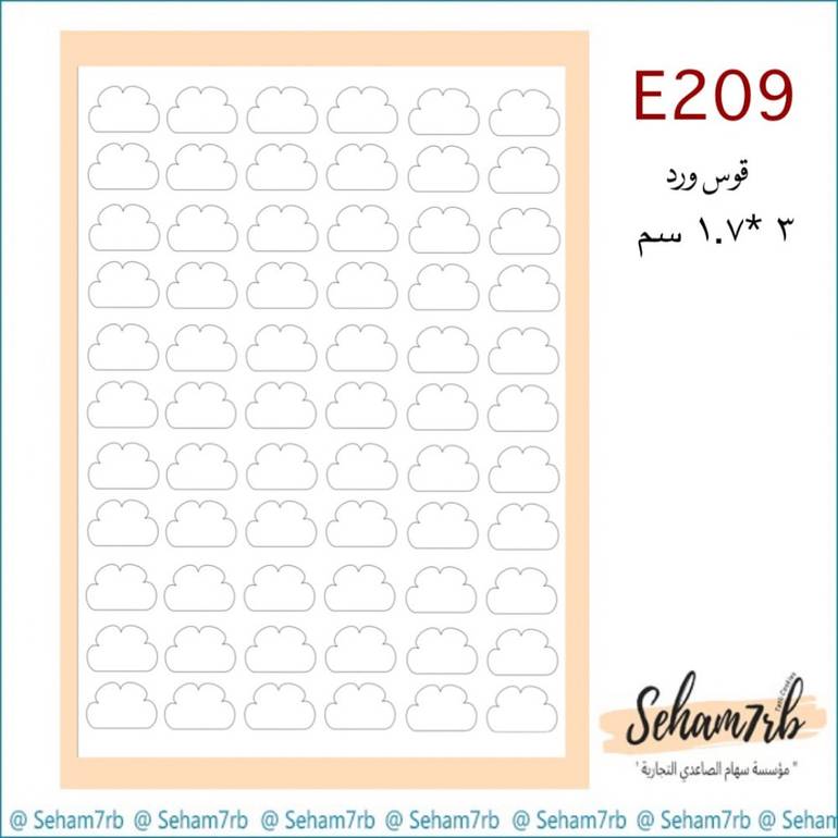 E209