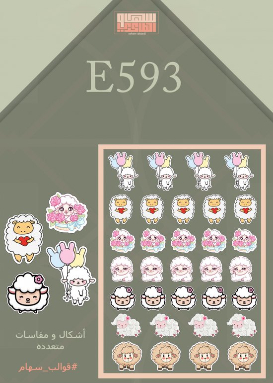 E593