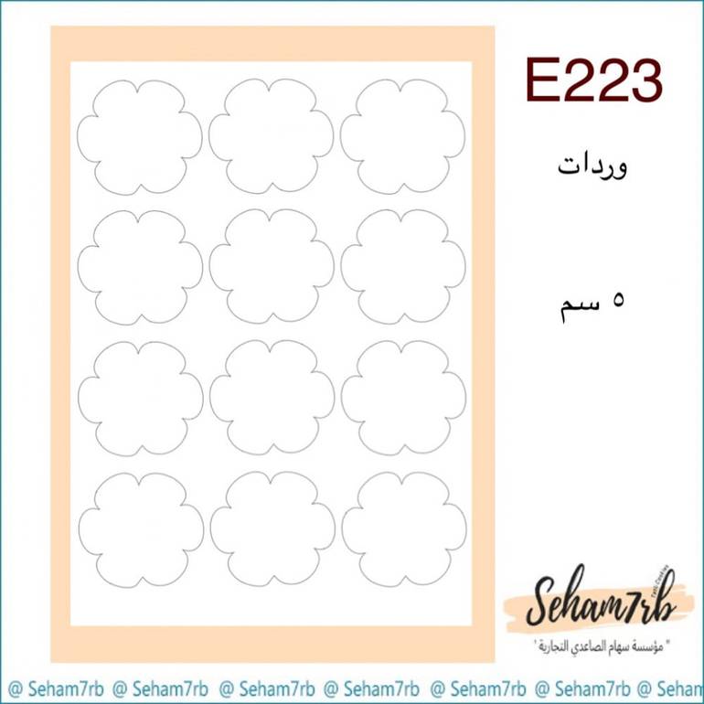 E223