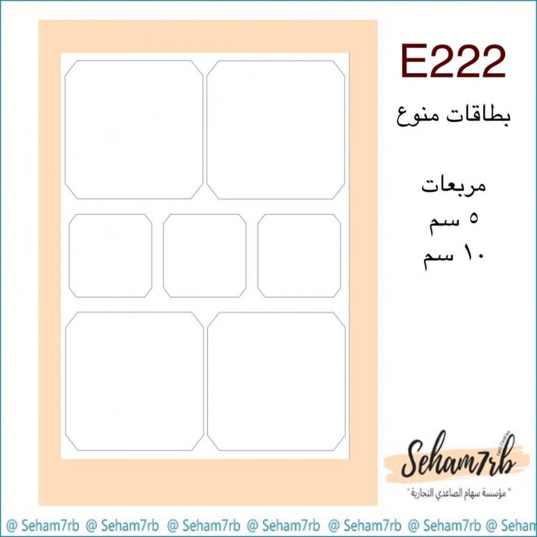 E222
