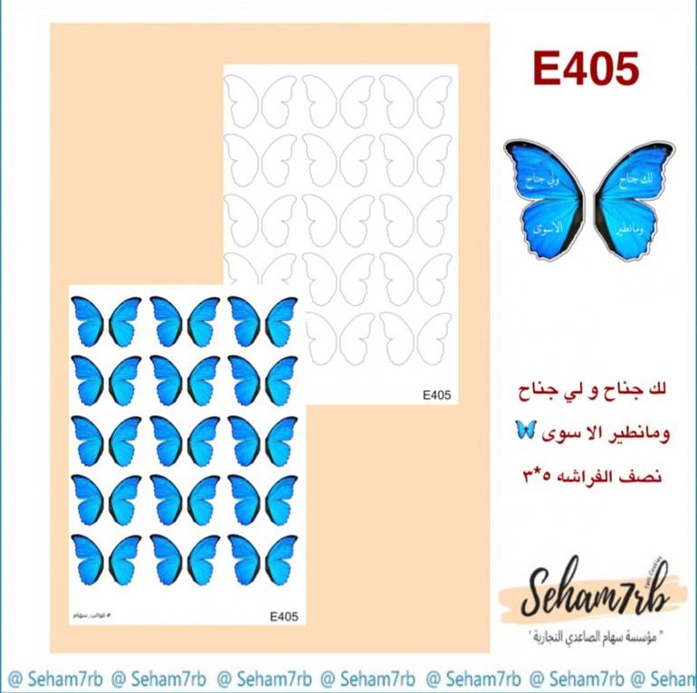 E405