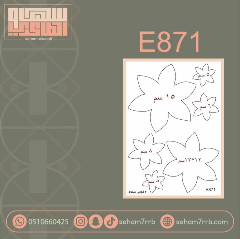 E871